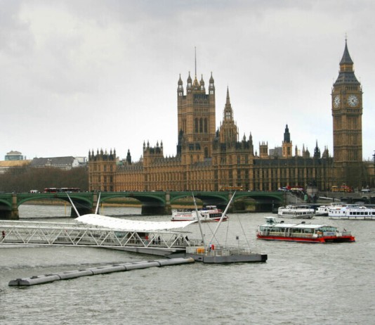 Обвиняемую в убийстве двух девочек-подростков таллием женщину спасли из реки