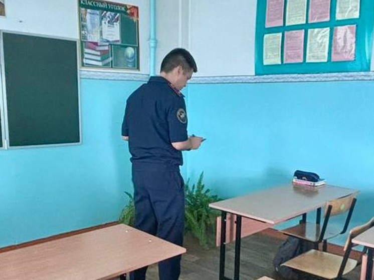 Поножовщина в школе: жертва буллинга решилась на отчаянный шаг