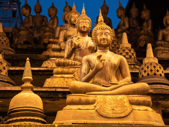 Умер после аудиенции у Будды: на Шри-Ланке загадочно погиб российский турист